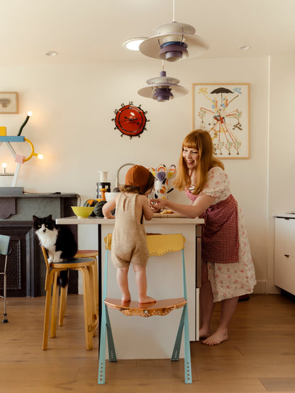 Inspiring Family Homes Book