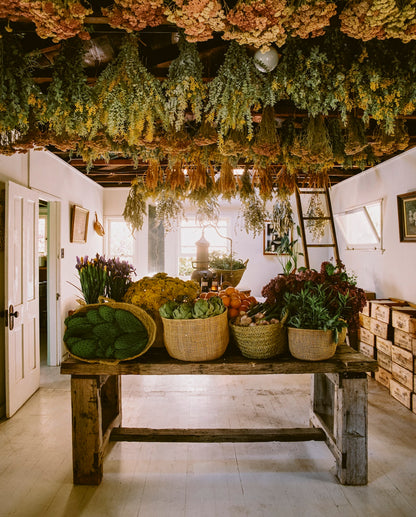 The Avant Gardens Book