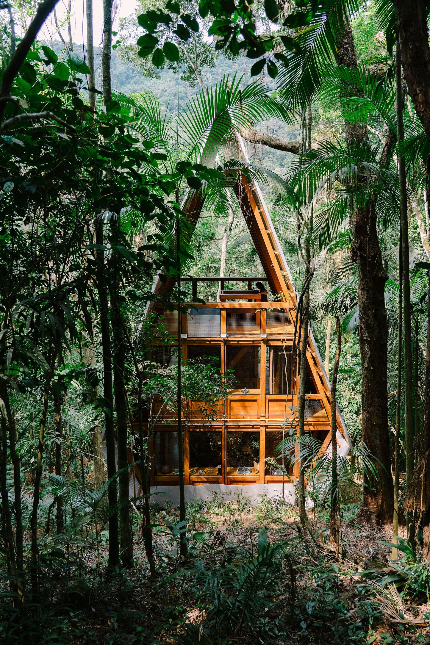 Cabin Fever Book