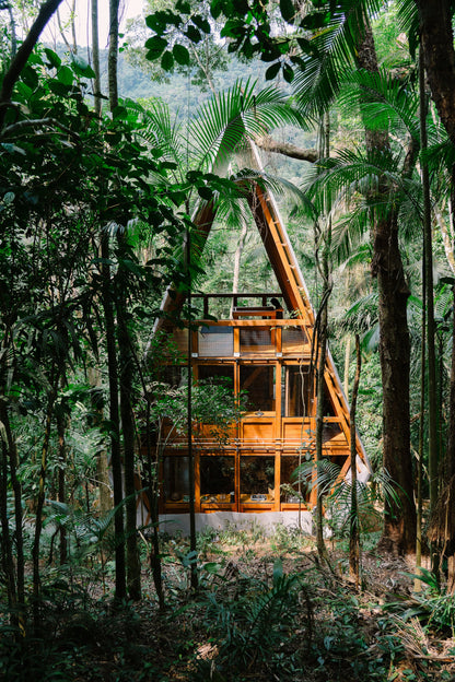 Cabin Fever Book