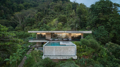 Concrete Jungle Book