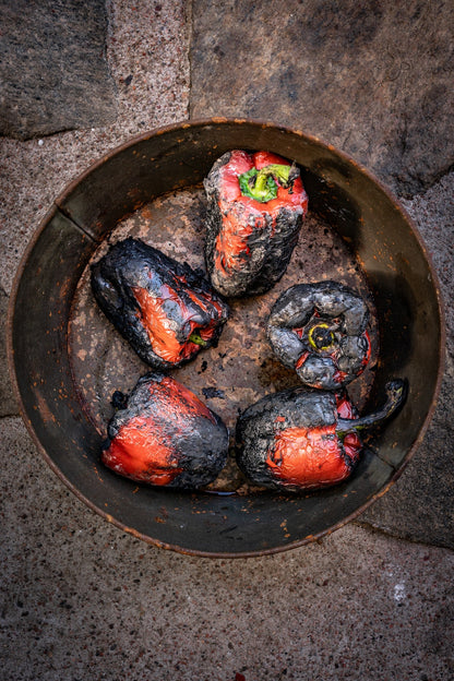 Cooking on Fire Book
