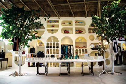 The World's Best Shops Book