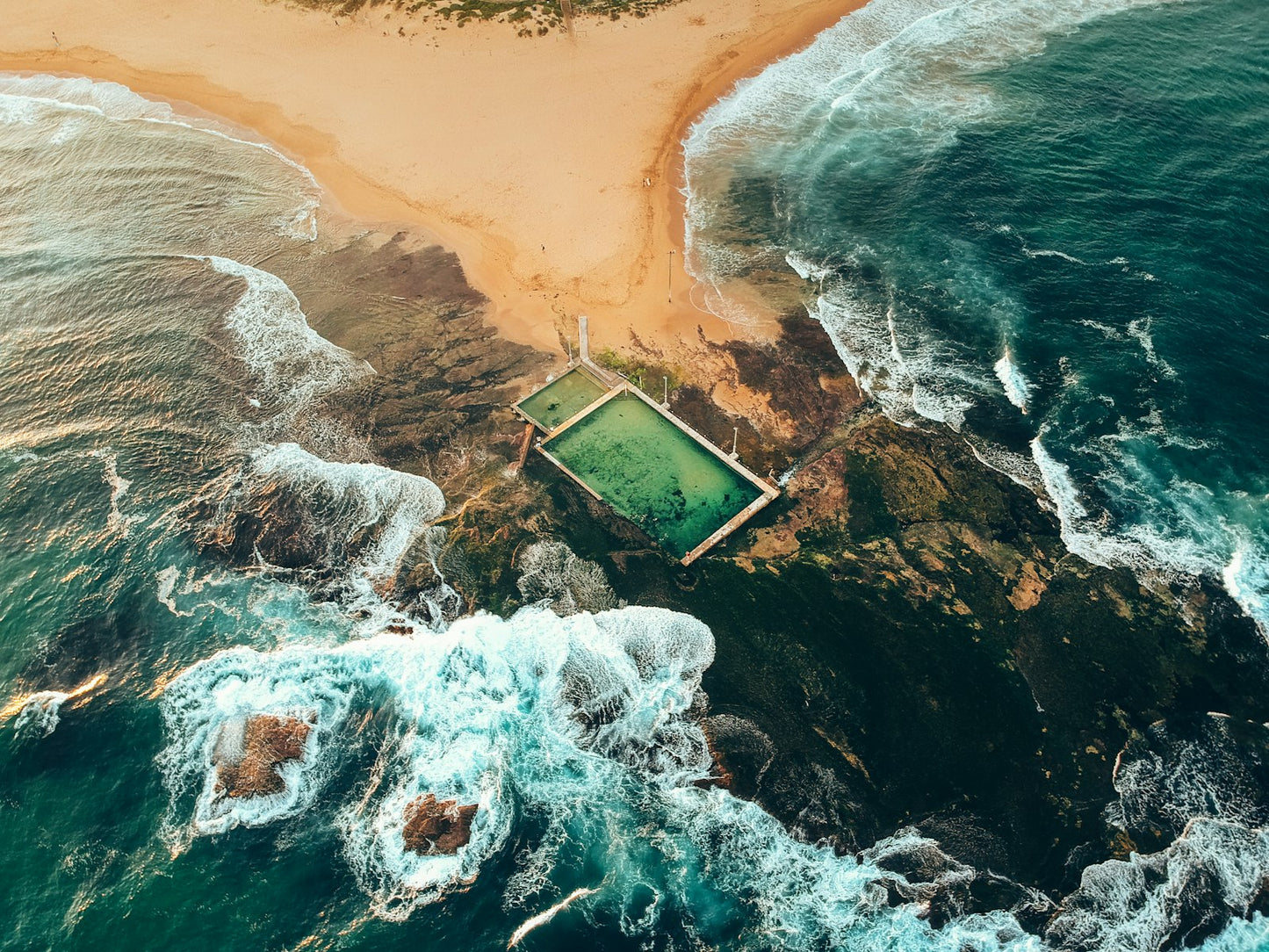 The Nature of Swimming (Updated Edition) Book