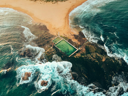 The Nature of Swimming (Updated Edition) Book