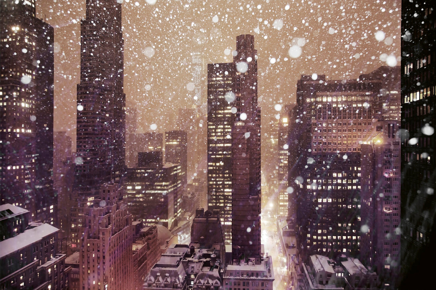 Winterland Book
