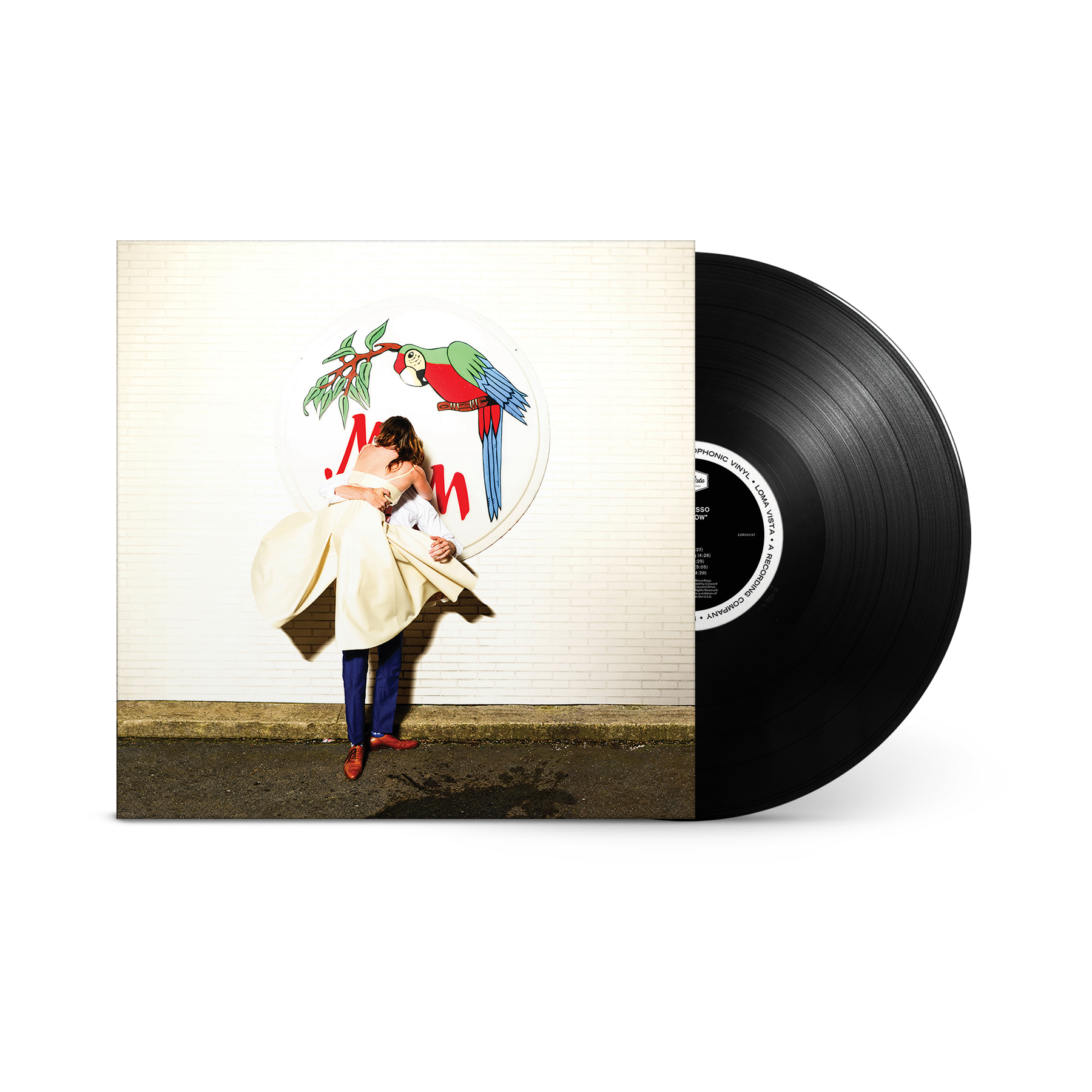 Sylvan Esso What Now Black LP Vinyl Record