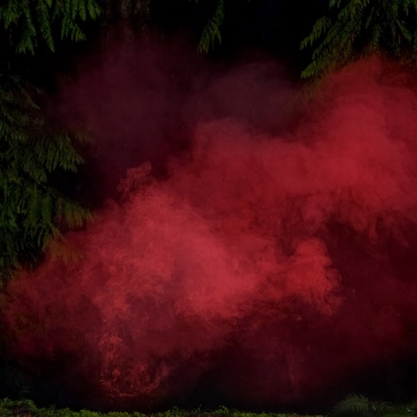 P.A. HULSENBECK & MICHAEL SCHONHEIT - Reaping From The Conflux Vinyl Record