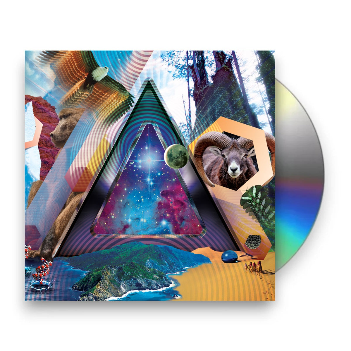 311 – Universal Pulse Music CD