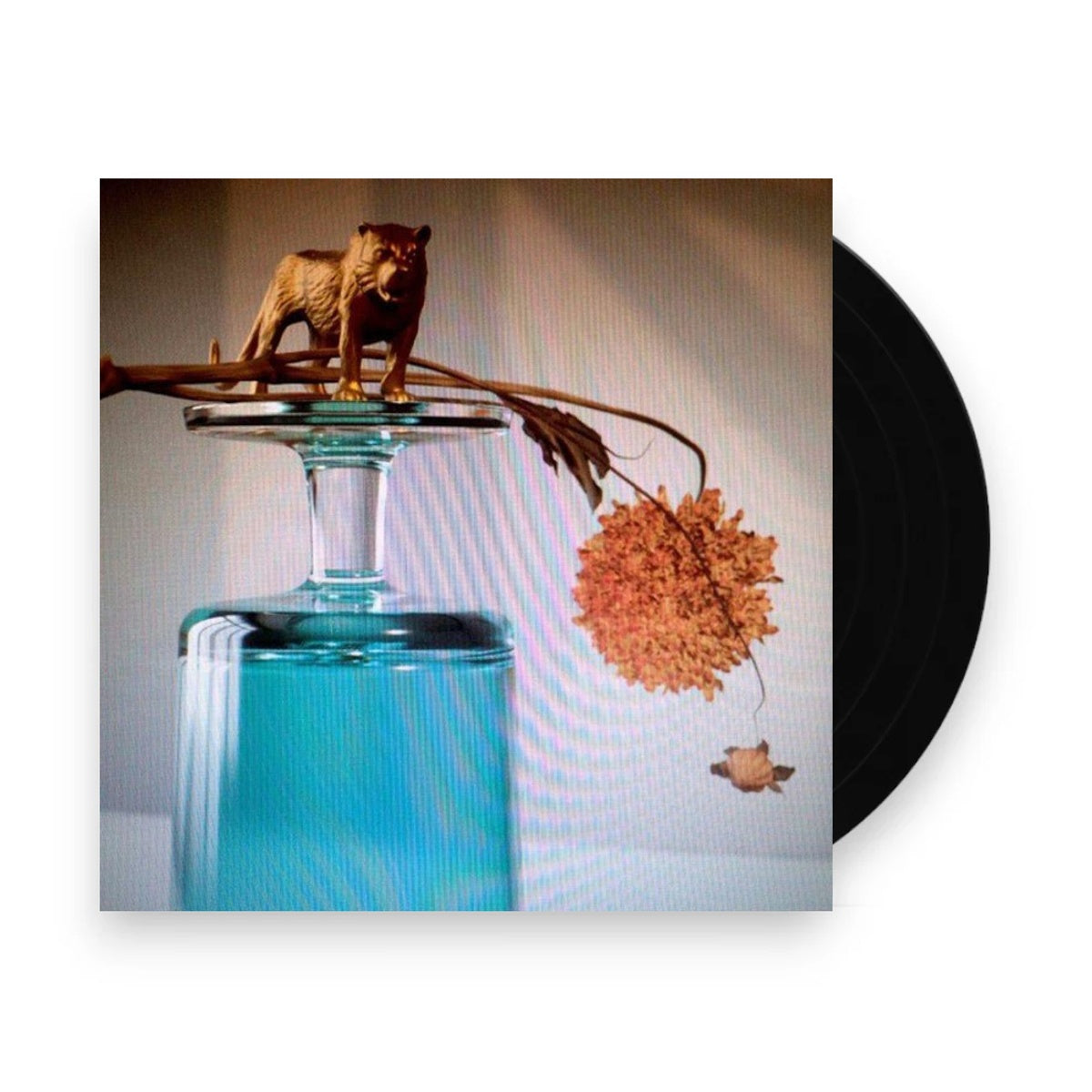 Beirut – Gallipoli (LP Vinyl) Vinyl Record