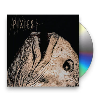 Pixies – Complete B-Sides: 1988-97 (2-CD)