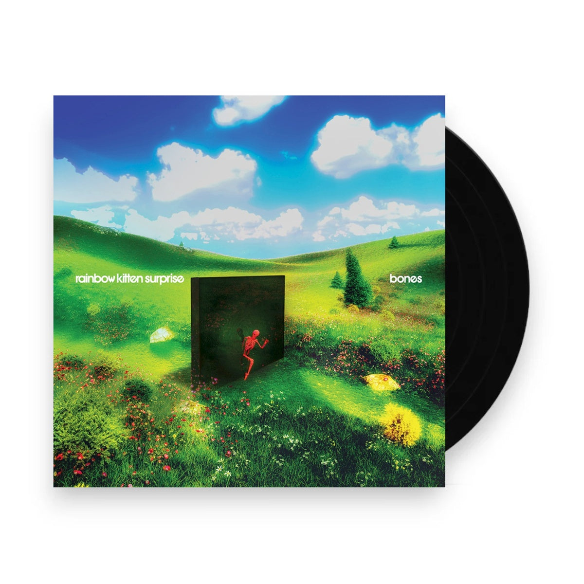 Rainbow Kitten Surprise – bones (LP Vinyl) Vinyl Record
