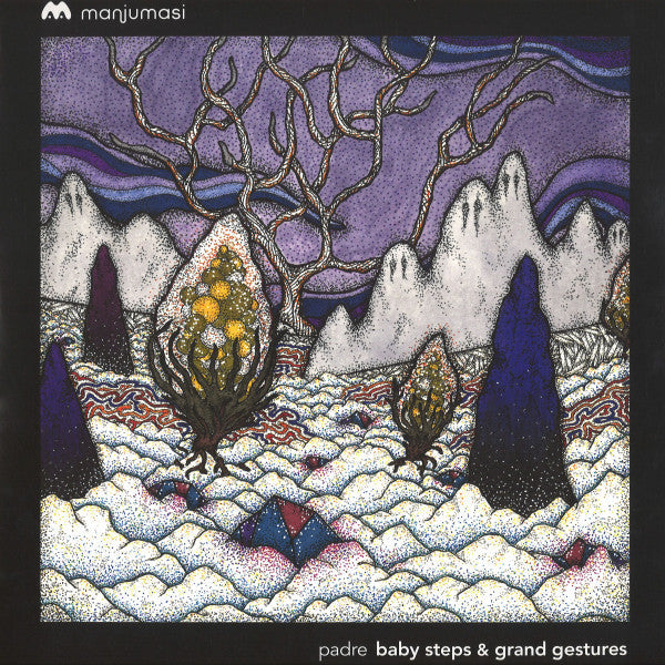 Baby Steps & Grand Gestures Vinyl Record