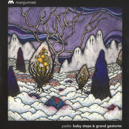 Baby Steps & Grand Gestures Vinyl Record