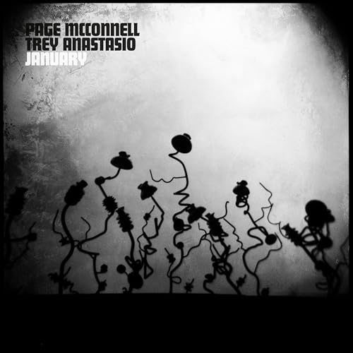 January Vinyl Record