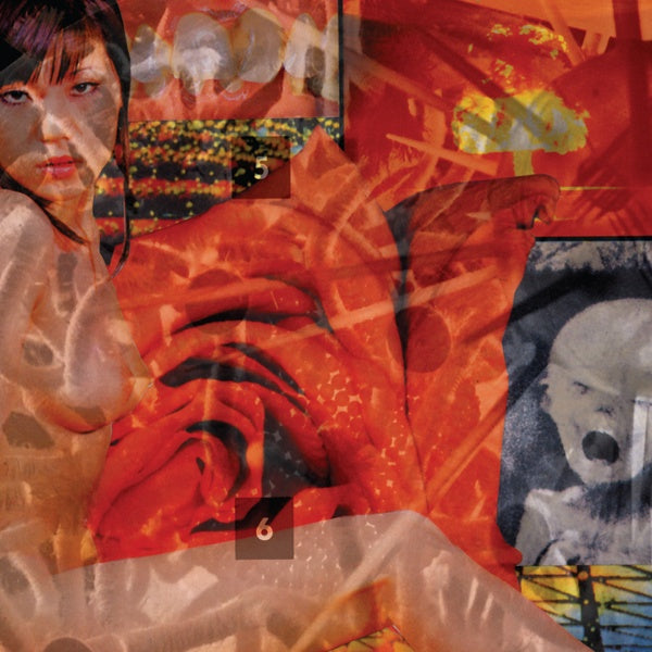 PAINJERK - Mission Invisible - Kill The Poor Vinyl Record