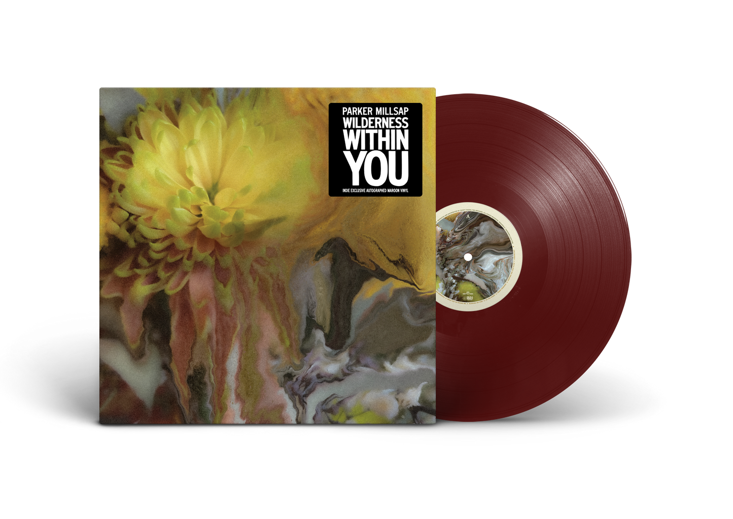 Wilderness Within You (Indie Exclusive) [Vinyl] Vinyl Record