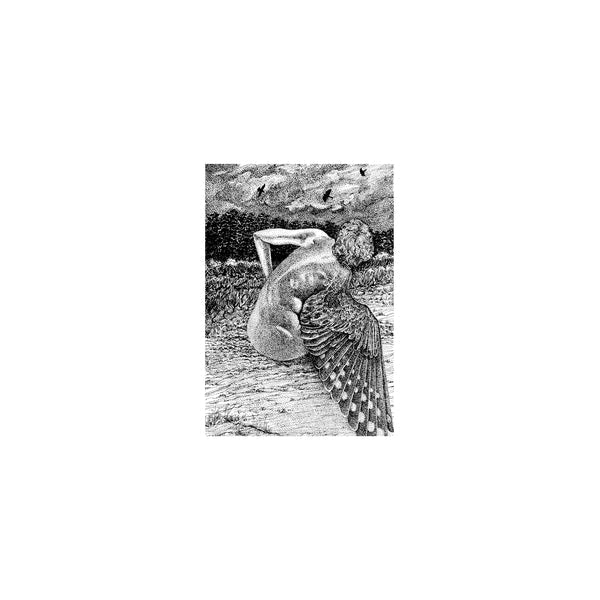 Patrick Lysaght - For The Birds [LP] [Vinyl] Vinyl Record