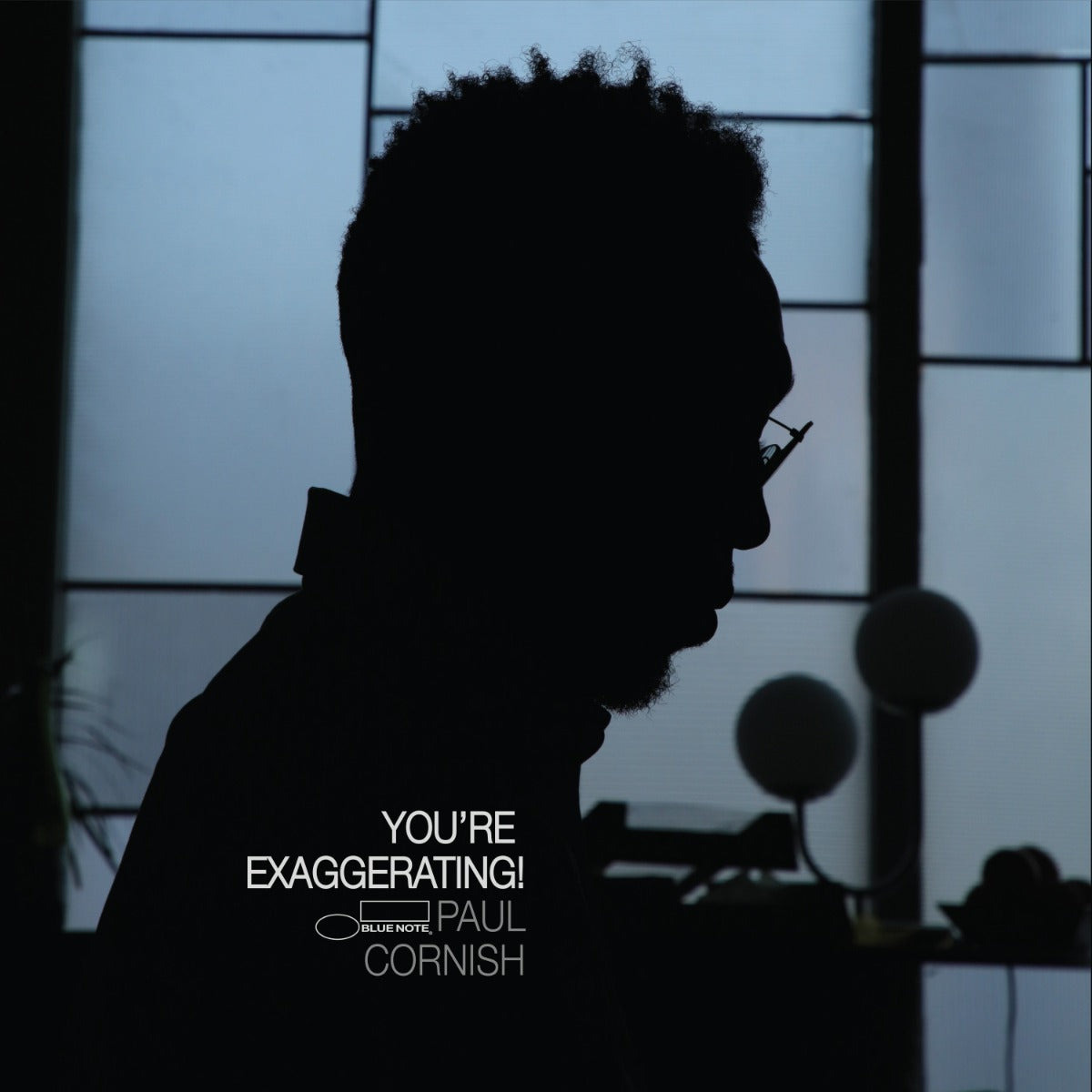 You'Re Exaggerating! [180G Lp] Vinyl Record