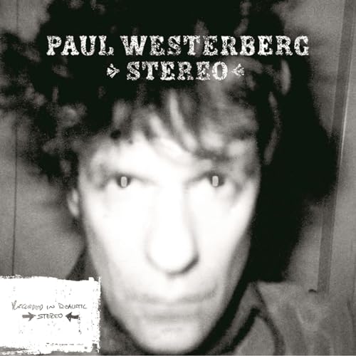 Stereo / Mono Vinyl Record