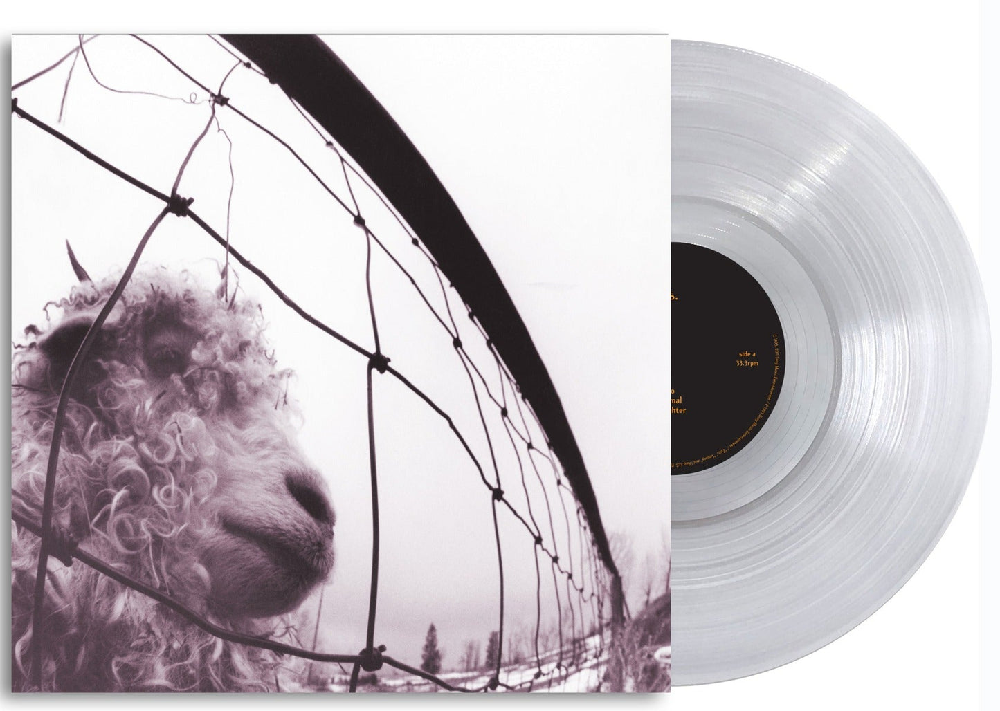 Pearl Jam Vs. (Clear Vinyl) Vinyl Record