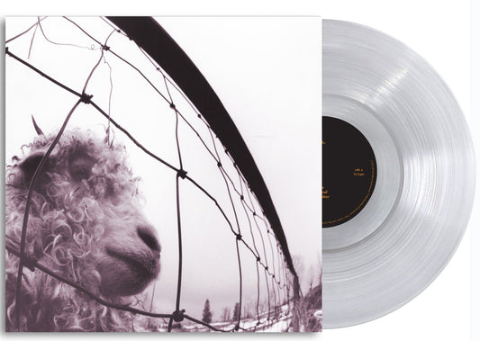 Pearl Jam Vs. (Clear Vinyl) Vinyl Record