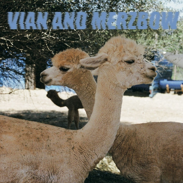 PEDRO VIAN & MERZBOW - Inside Richard Serra Sculptures Vinyl Record