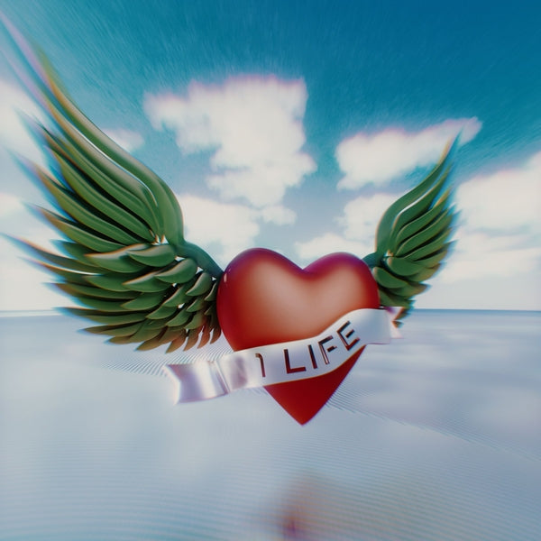1 Life [Vinyl] Vinyl Record