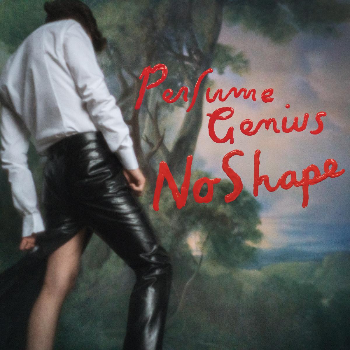 No Shape Vinyl Record