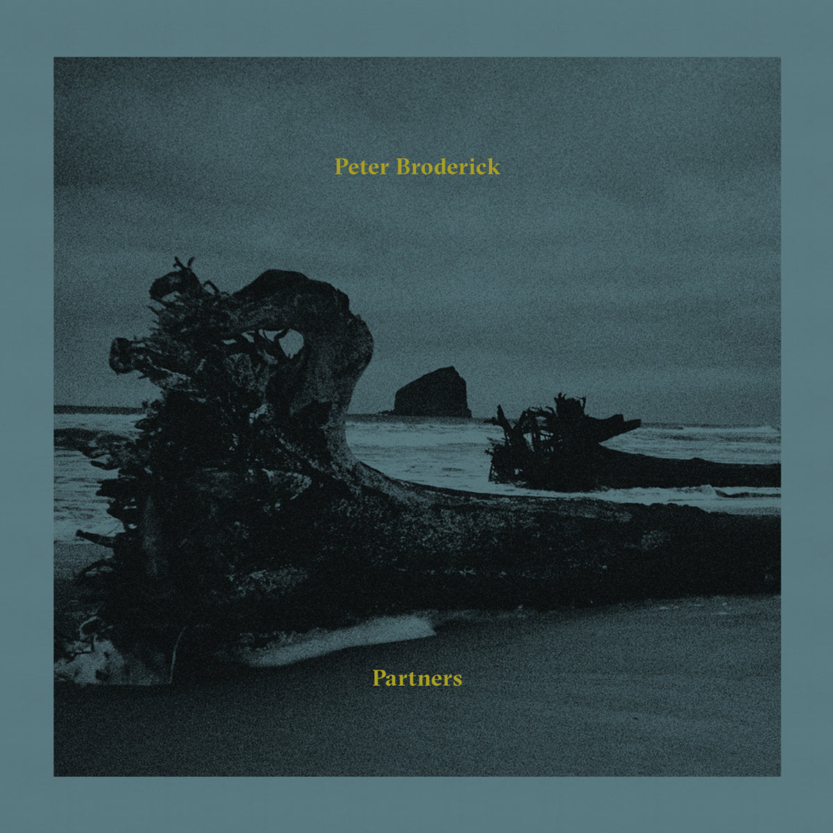 Partners Vinyl Record