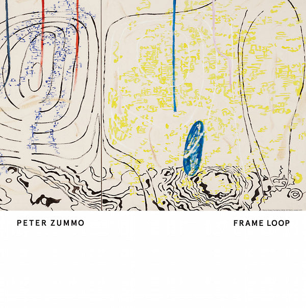 PETER ZUMMO - Frame Loop Vinyl Record