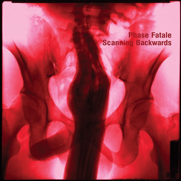 Scanning Backwards Vinyl Record