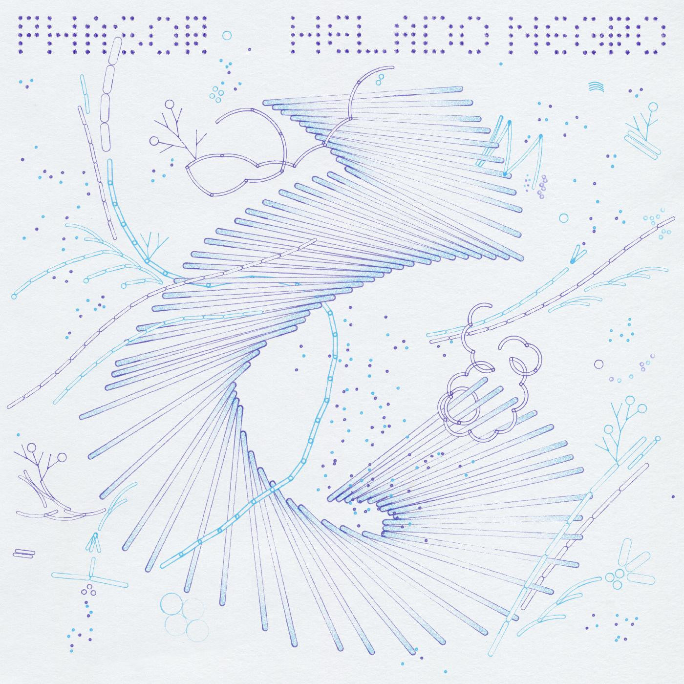 Phasor Vinyl Record