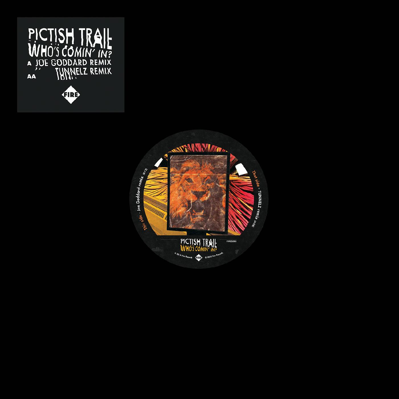 Pictish Trail - Who's Comin' In? Vinyl Record