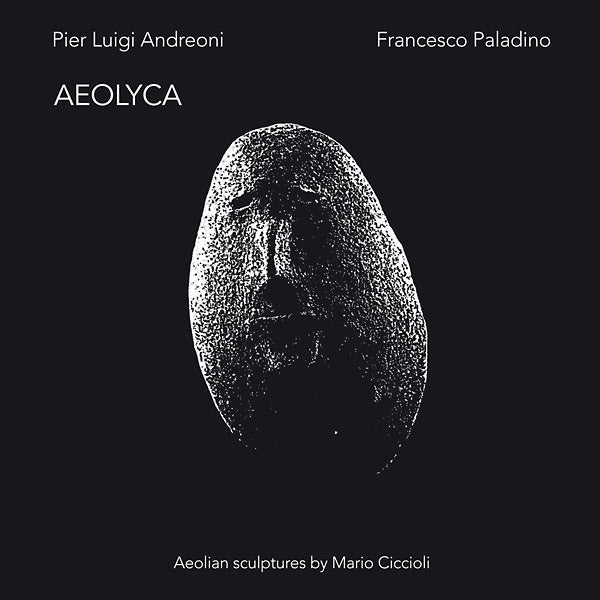PIER LUIGI ANDREONI/FRANCESCO PALADINO - Aeolyca [Vinyl] Vinyl Record