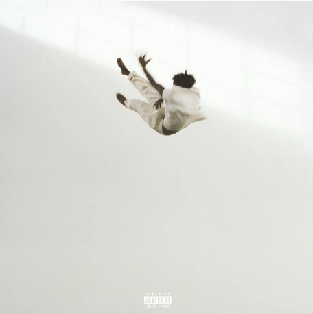 PRE-ORDER Daniel Caesar - Pilgrim’s Paradise (LP Transparent White & Black Marble) [Vinyl] Vinyl Record