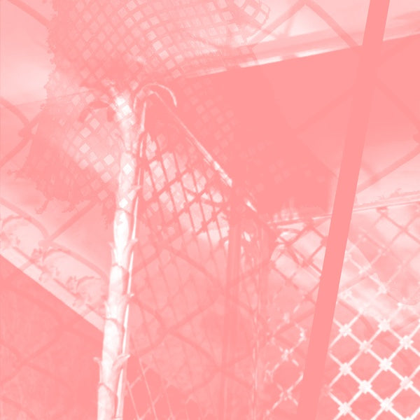 All Intensive Purposes Music CD