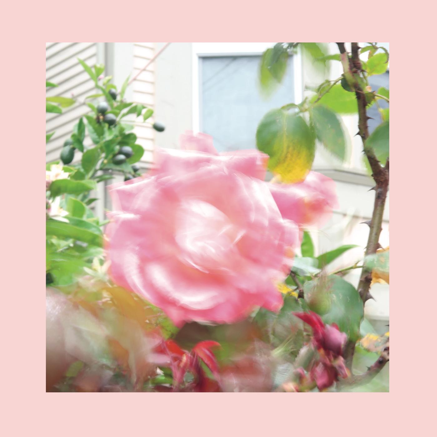 Pinks & Purples Reds - Summer At Land's End (GREEN VINYL) Vinyl Record