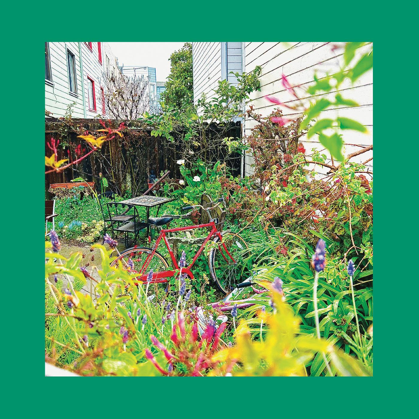 Unwishing Well (NASTURTIUM ORANGE VINYL) Vinyl Record