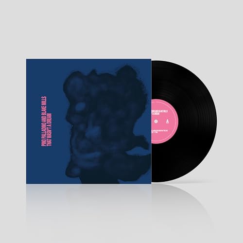 That Wasn'T A Dream [Lp] Vinyl Record
