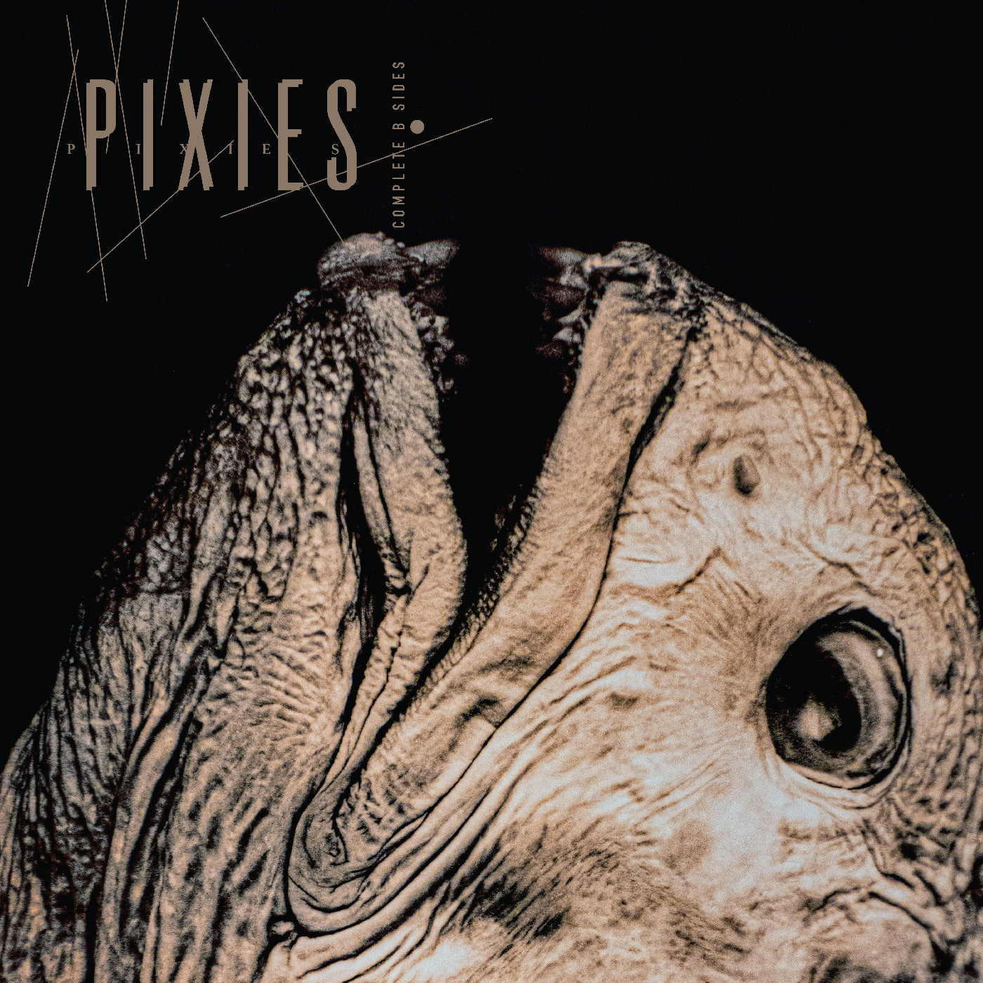 Pixies - Complete B Sides: 1988-97 [Vinyl] Vinyl Record