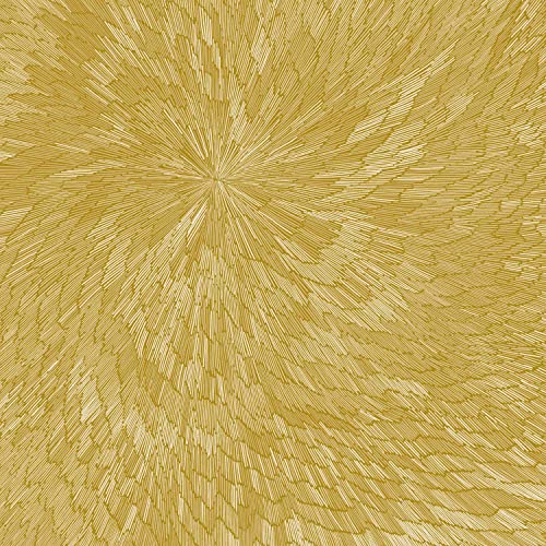 PJEV/Kit Downes/Hayden Chisholm - Medna Roso [LP] Vinyl Record