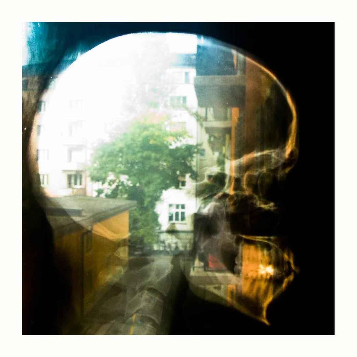 Plaid - Reachy Prints [Vinyl] Vinyl Record
