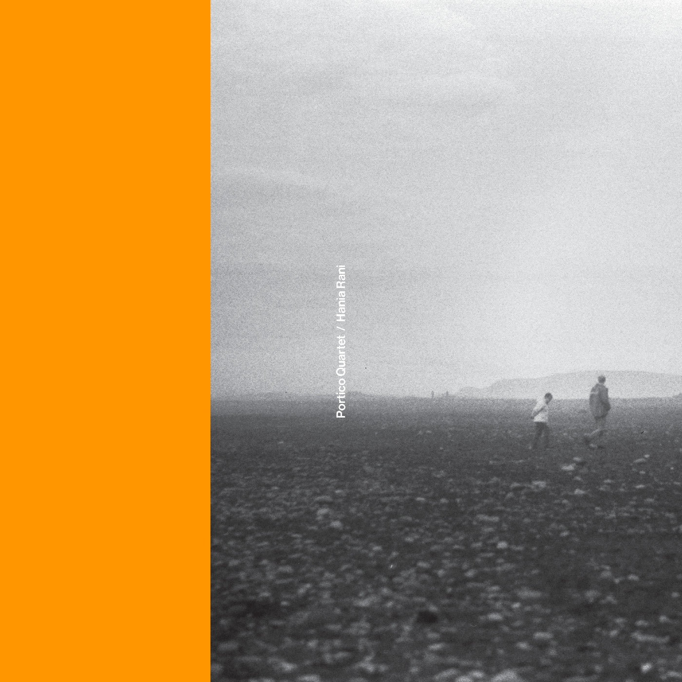 Portico Quartet / Hania Rani Vinyl Record