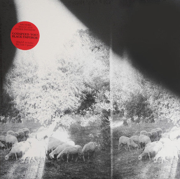 Godspeed You Black Emperor! Asunder, Sweet And Other Distress LP  Vinyl Record