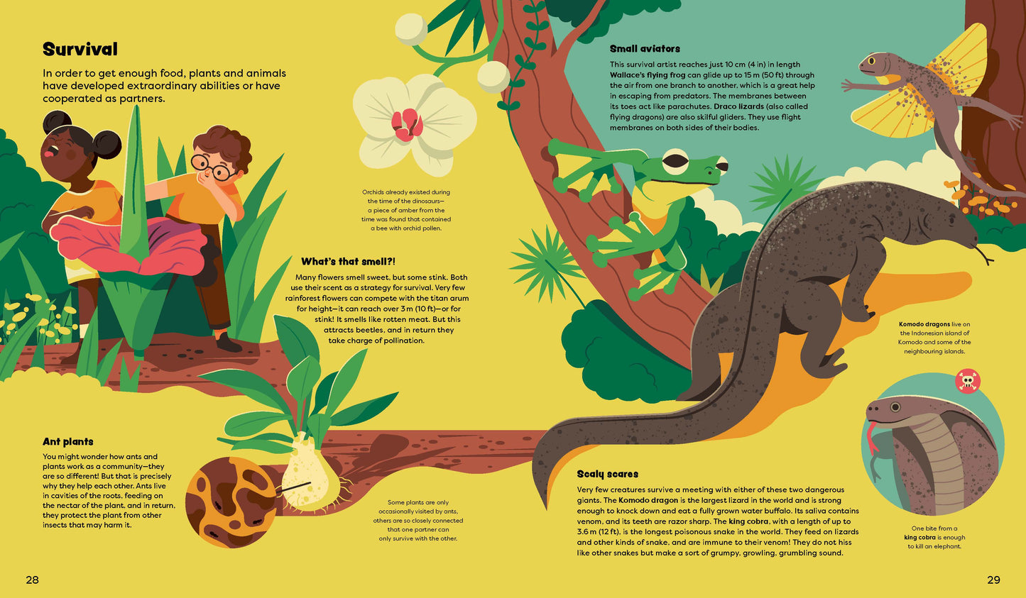 Explore the Rainforest Books