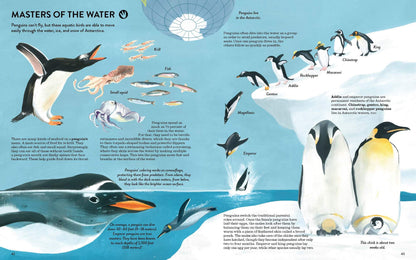 Penguins and Polar Bears Book