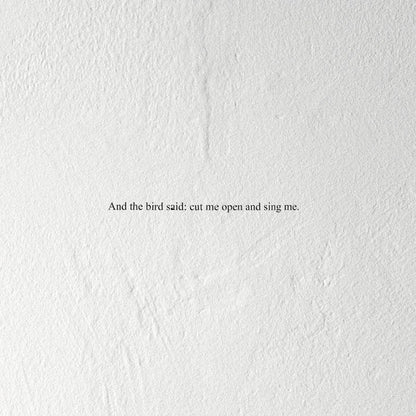 And the Bird Said: Cut Me Open and Sing Me Vinyl Record