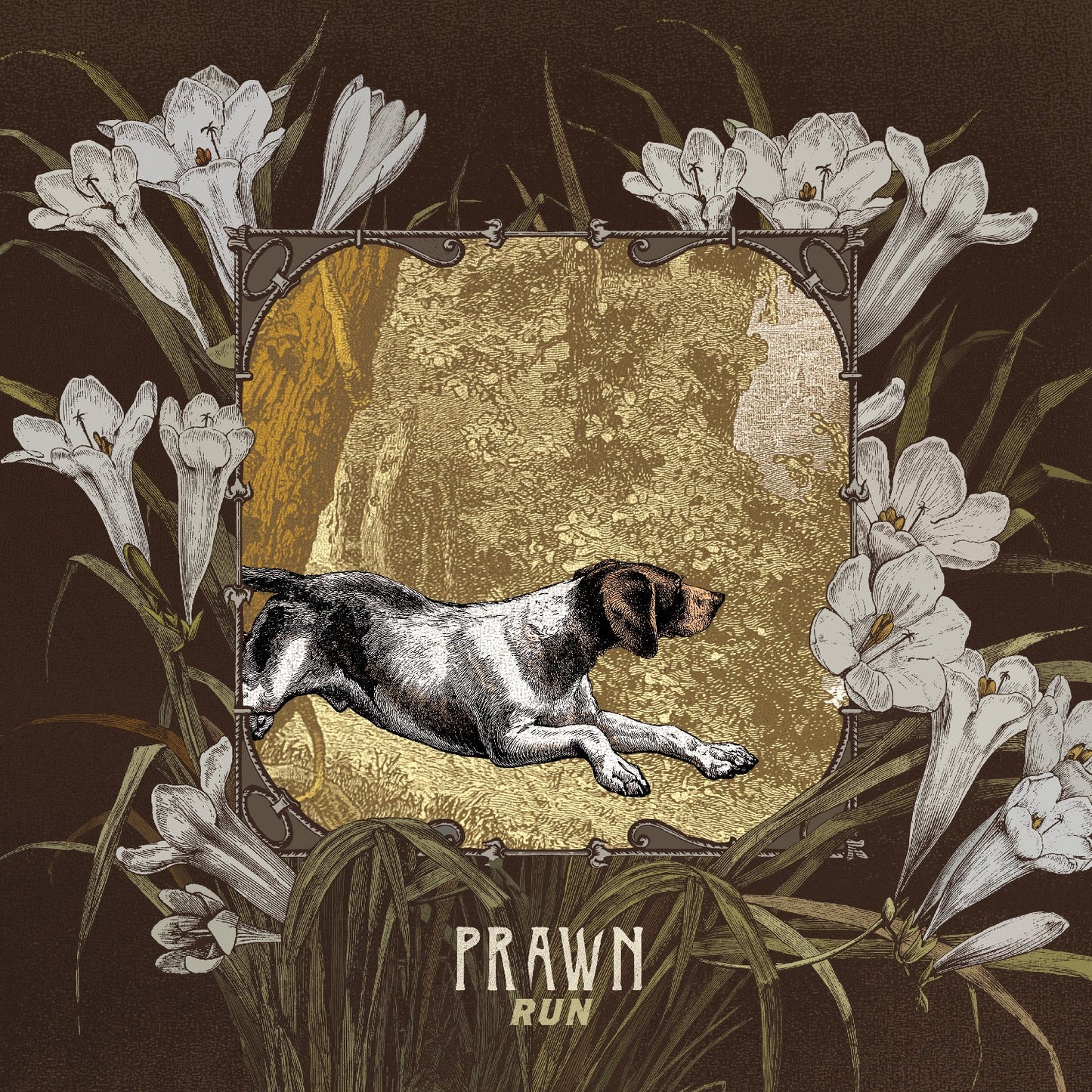 Prawn - Run [CD] Music CD