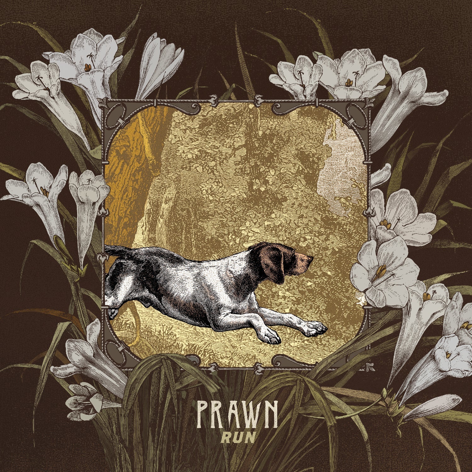 Prawn - Run [CD] Music CD